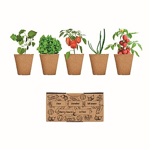 Salad growing kit