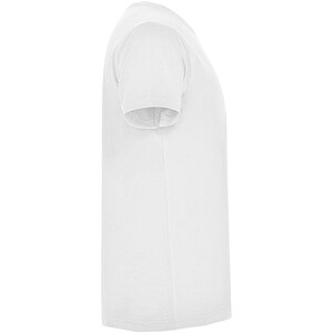 Samoyedo short sleeve mens v-neck t-shirt