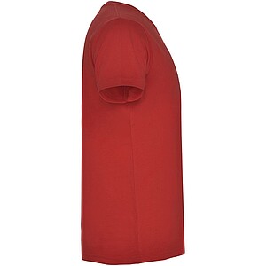 Samoyedo short sleeve mens v-neck t-shirt