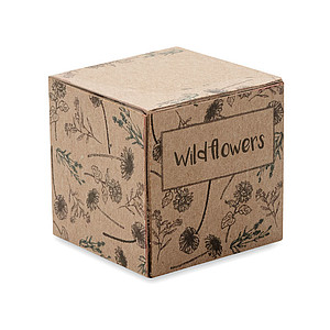 Seed bomb growing kit MO6908-13