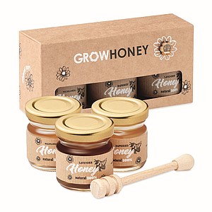 Set of 3 wildflower honey