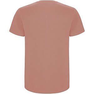 Stafford short sleeve kids t-shirt