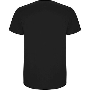 Stafford short sleeve kids t-shirt