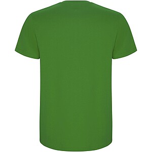 Stafford short sleeve kids t-shirt