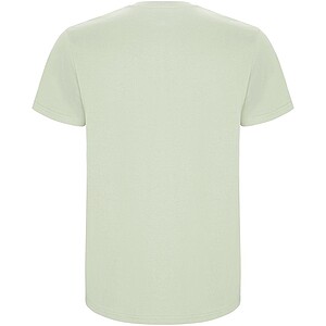 Stafford short sleeve kids t-shirt