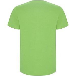 Stafford short sleeve kids t-shirt