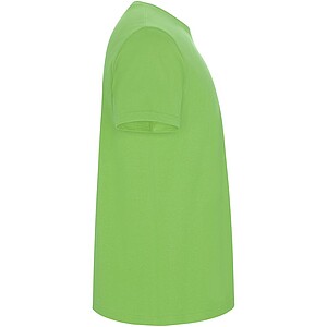 Stafford short sleeve kids t-shirt