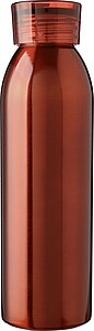 Stainless steel single-walled drinking bottle 650 ml Cindy, red