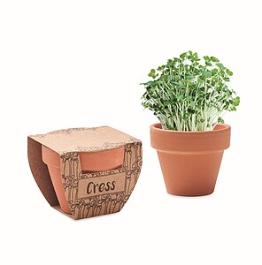 Terracotta pot cress seeds