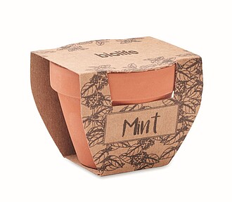Terracotta pot mint seeds