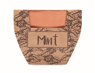 Terracotta pot mint seeds