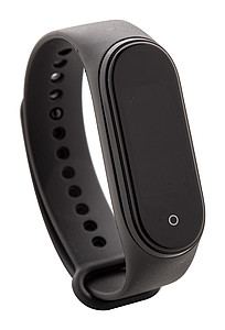 thermometer smart watch