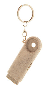 trolley coin keyring