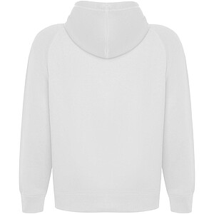 Vinson unisex hoodie