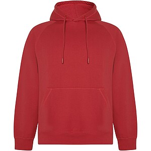 Vinson unisex hoodie