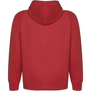 Vinson unisex hoodie