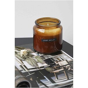 Wellmark Lets Get Cozy 650 g scented candle - cedar wood fragrance